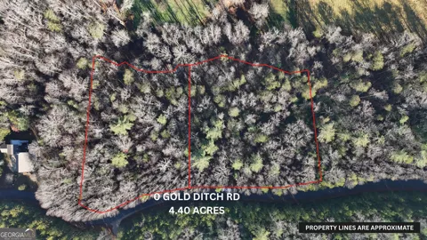 LOT 10 Gold Ditch RD