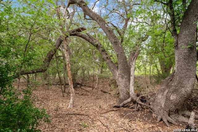 LOT 8 River Bluff Castroville, TX 78009