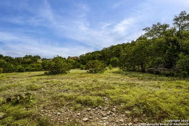 228 ENIGMA AVE Spring Branch, TX 78070