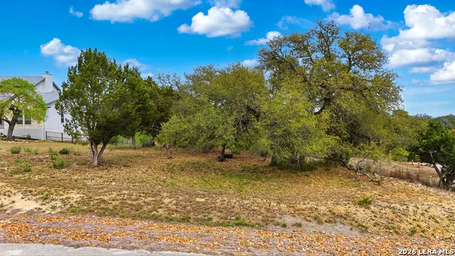 1033 Bluewater Spring Branch, TX 78070