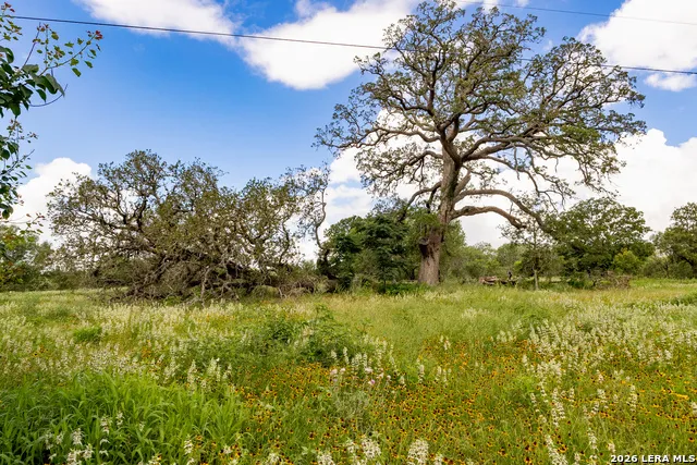 3141 Zion Hill Seguin, TX 78155