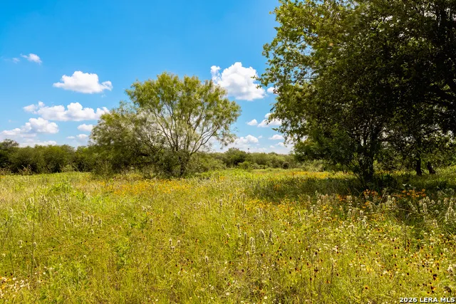 3141 Zion Hill Seguin, TX 78155
