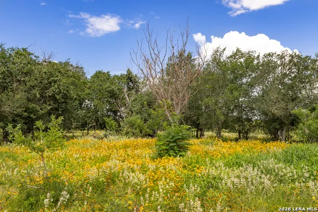 3141 Zion Hill Seguin, TX 78155
