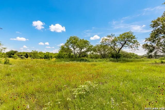 3141 Zion Hill Seguin, TX 78155