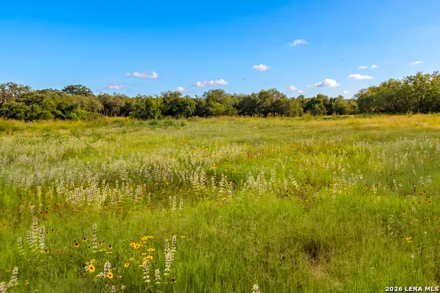 3141 Zion Hill Seguin, TX 78155
