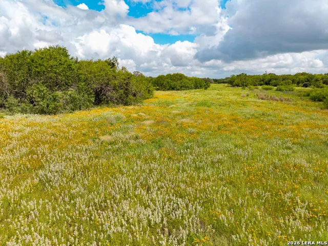 3141 Zion Hill Seguin, TX 78155