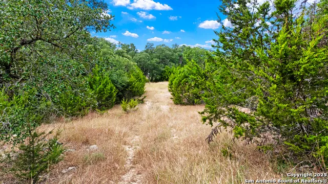 32311 Koch Dr. Bulverde, TX 78163