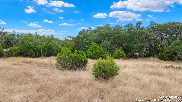 32311 Koch Dr. Bulverde, TX 78163