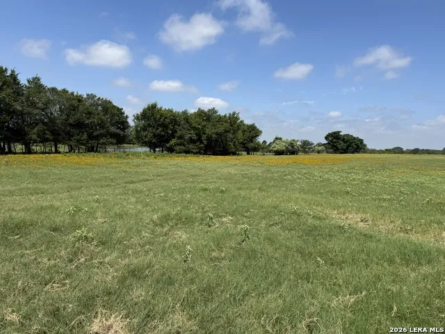14 COUNTY ROAD 273 Bremond, TX 76629