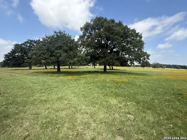 14 COUNTY ROAD 273 Bremond, TX 76629
