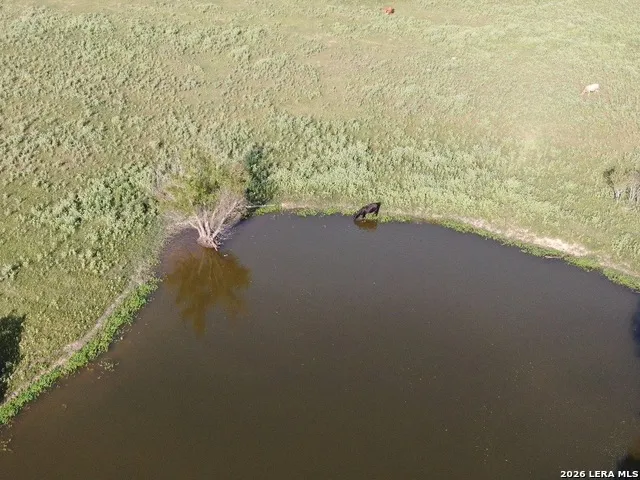 14 COUNTY ROAD 273 Bremond, TX 76629