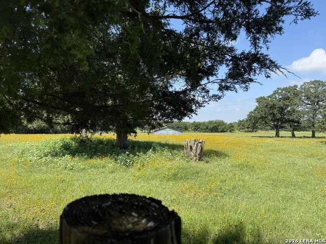 14 COUNTY ROAD 273 Bremond, TX 76629