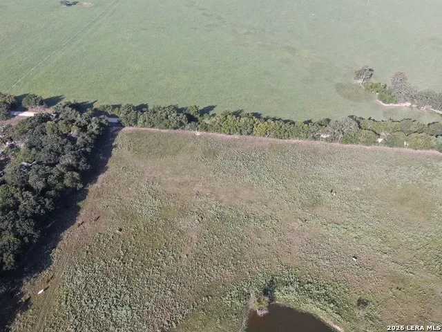 14 COUNTY ROAD 273 Bremond, TX 76629