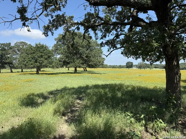 14 COUNTY ROAD 273 Bremond, TX 76629