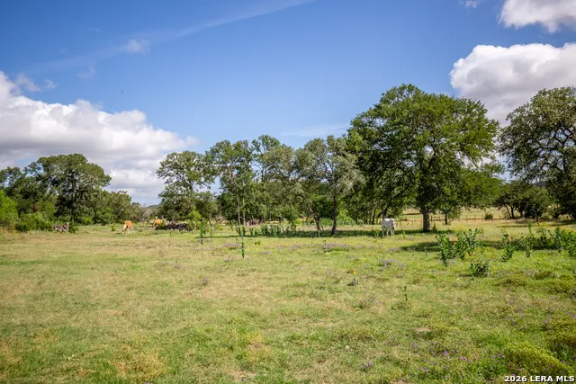 395 Bluff Creek Center Point, TX 78010