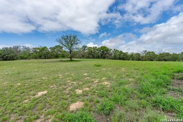 24 Sir David Ln Poteet, TX 78065