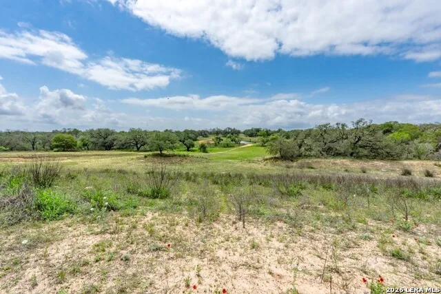 24 Sir David Ln Poteet, TX 78065