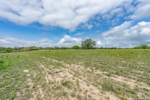 24 Sir David Ln Poteet, TX 78065