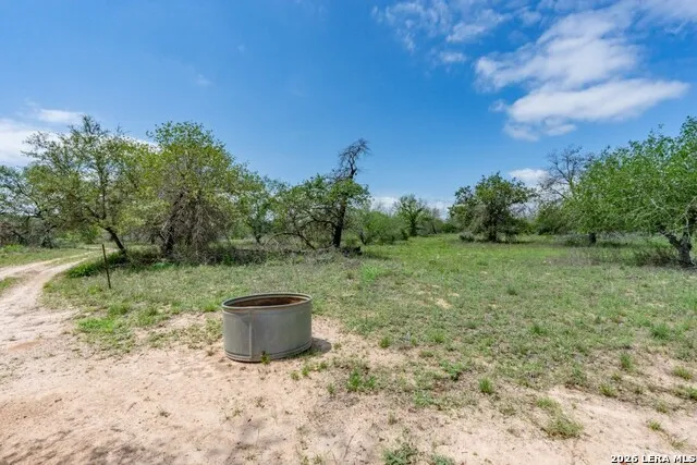 24 Sir David Ln Poteet, TX 78065
