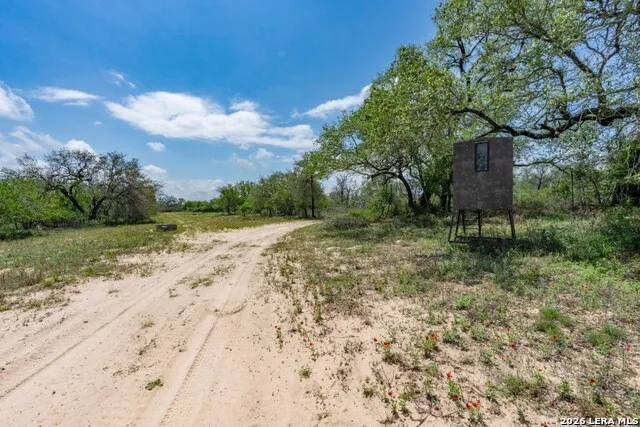 24 Sir David Ln Poteet, TX 78065