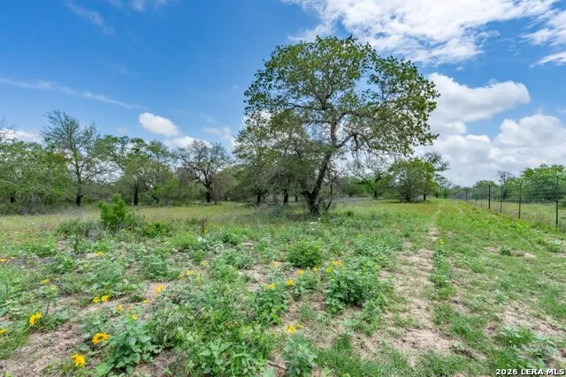 24 Sir David Ln Poteet, TX 78065