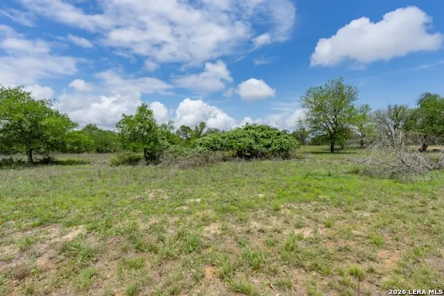 24 Sir David Ln Poteet, TX 78065