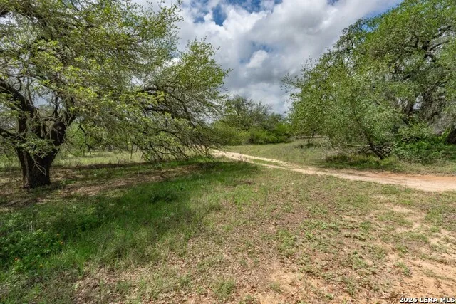 24 Sir David Ln Poteet, TX 78065
