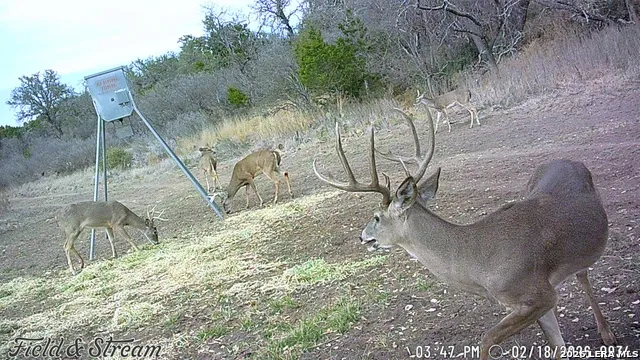 000 RM 1221 London, TX 76854