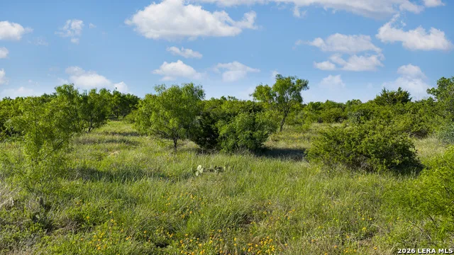 000 RM 1221 London, TX 76854
