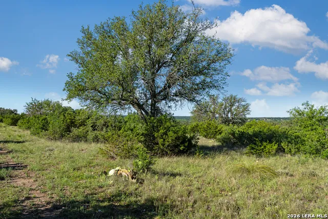 TBD FM 1221 London, TX 76854