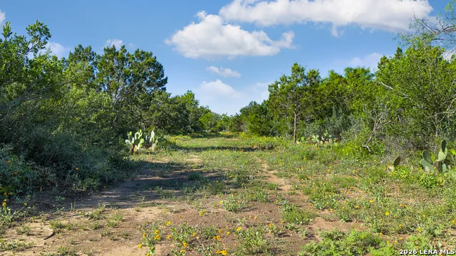 TBD FM 1221 London, TX 76854