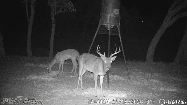 TBD FM 1221 London, TX 76854