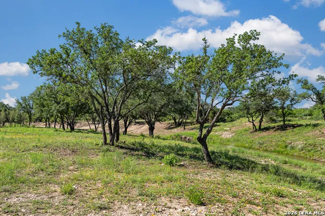 TBD FM 1221 London, TX 76854