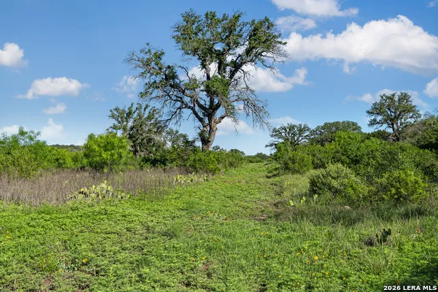 TBD FM 1221 London, TX 76854