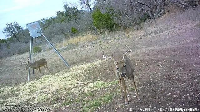 TBD FM 1221 London, TX 76854