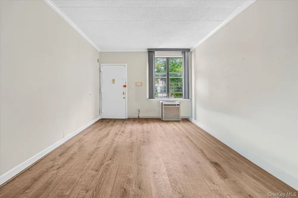 521 E 156th Street #C Bronx, NY 10455