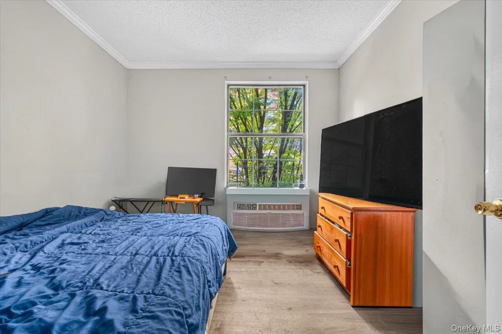 521 E 156th Street #C Bronx, NY 10455