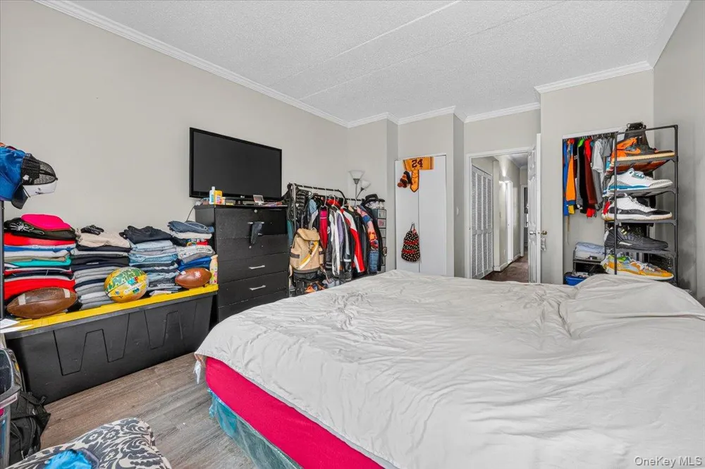 521 E 156th Street #C Bronx, NY 10455