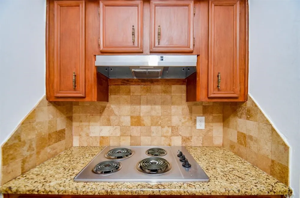 4802 Lost Oak Drive Spring, TX 77388
