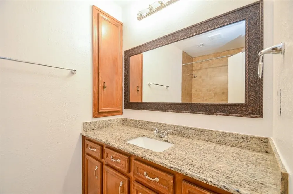 4802 Lost Oak Drive Spring, TX 77388