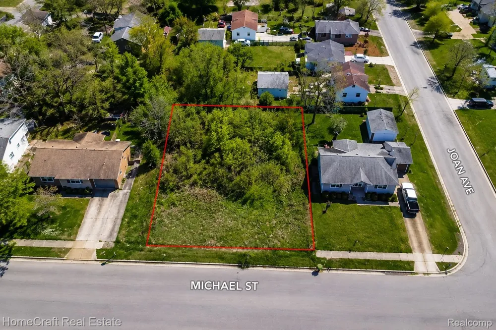 MICHAEL Taylor City, MI 48180