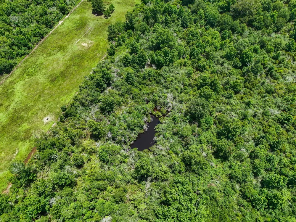County Road 182 Liberty, TX 77575