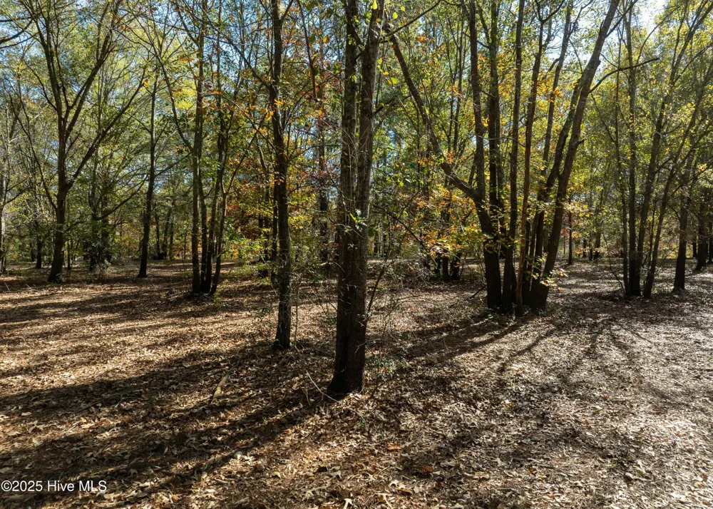 167 River Ridge Drive Wallace, NC 28466