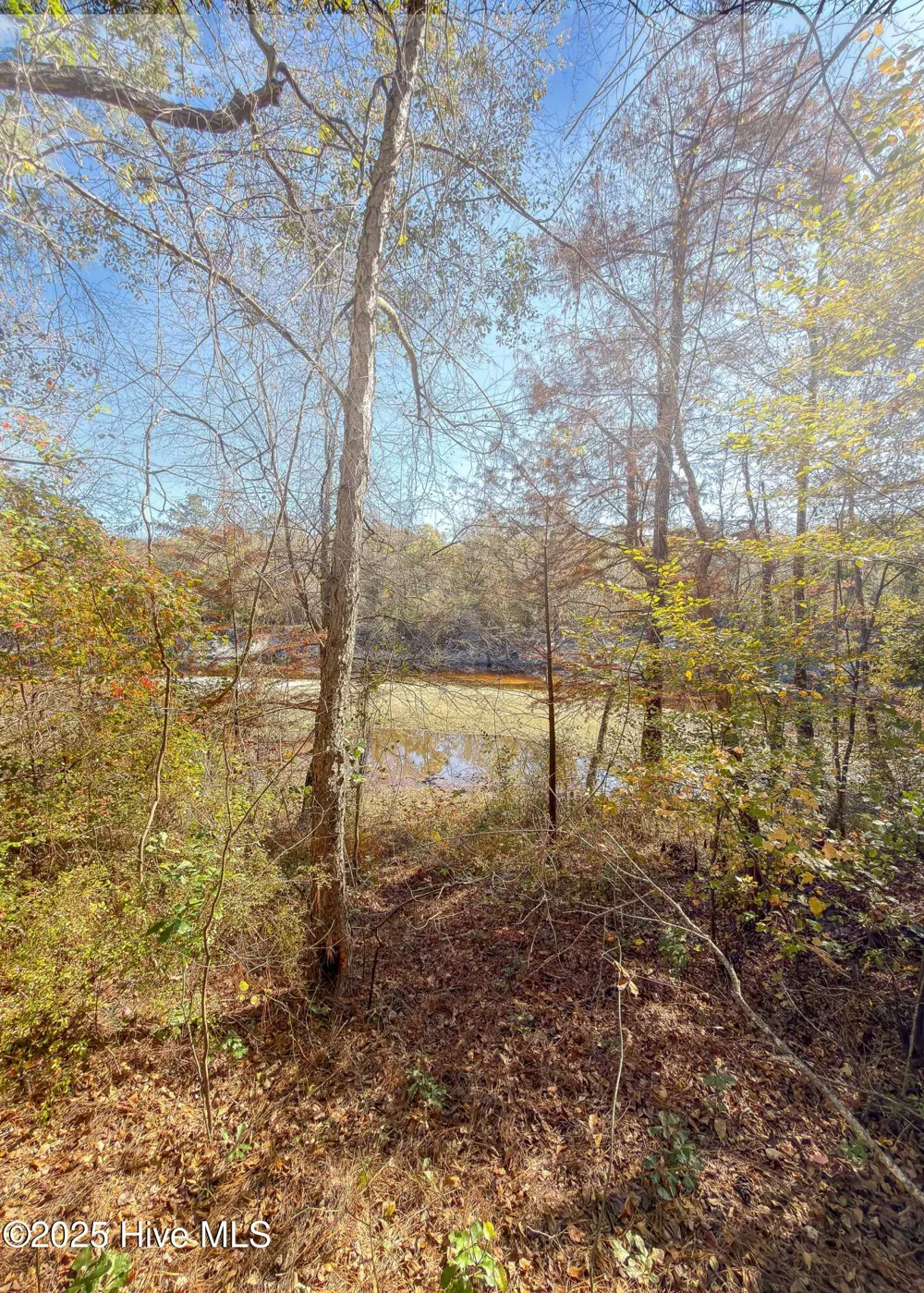167 River Ridge Drive Wallace, NC 28466