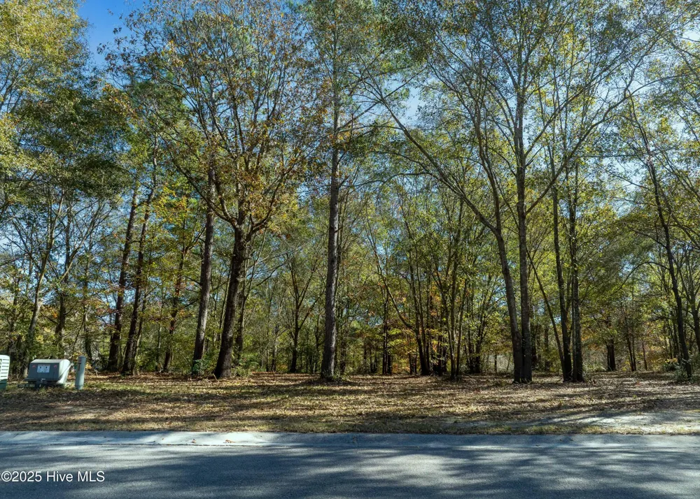 167 River Ridge Drive Wallace, NC 28466