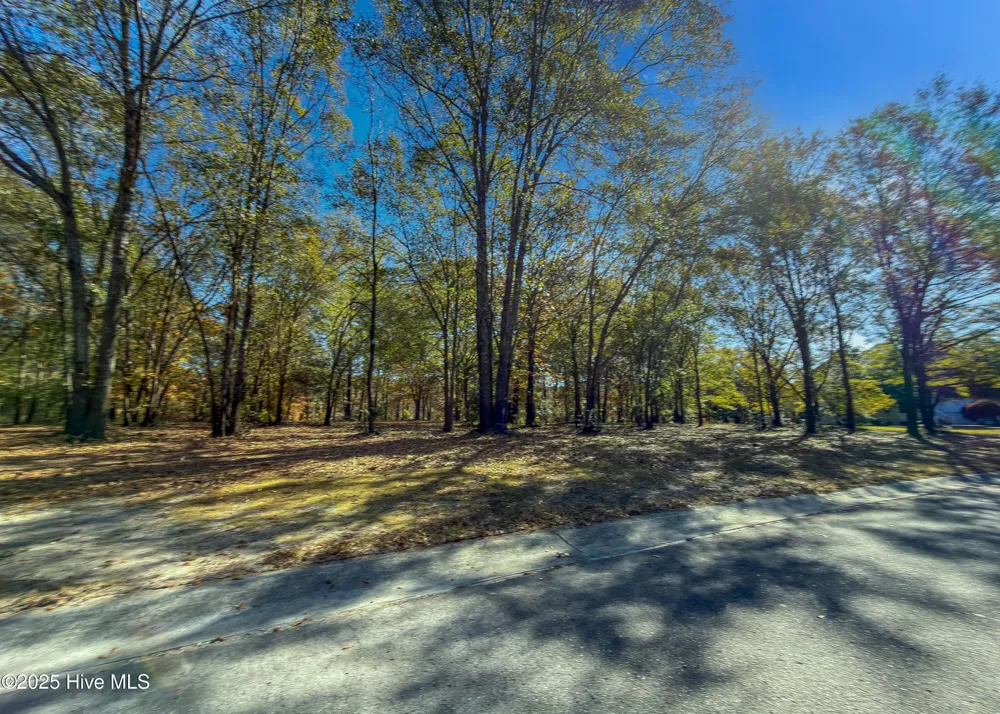 167 River Ridge Drive Wallace, NC 28466