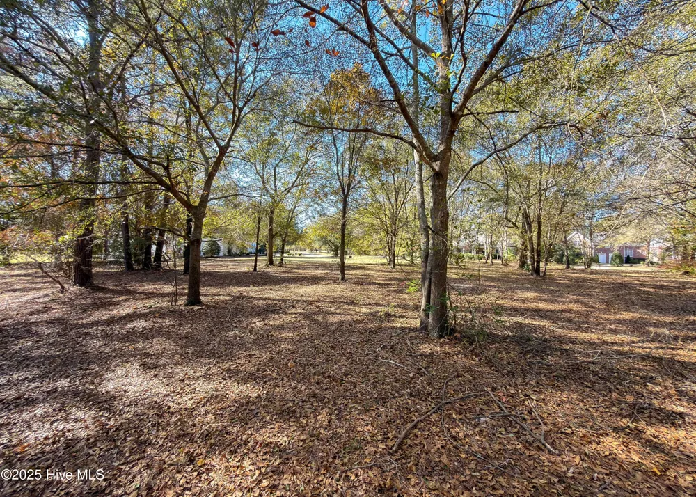 167 River Ridge Drive Wallace, NC 28466