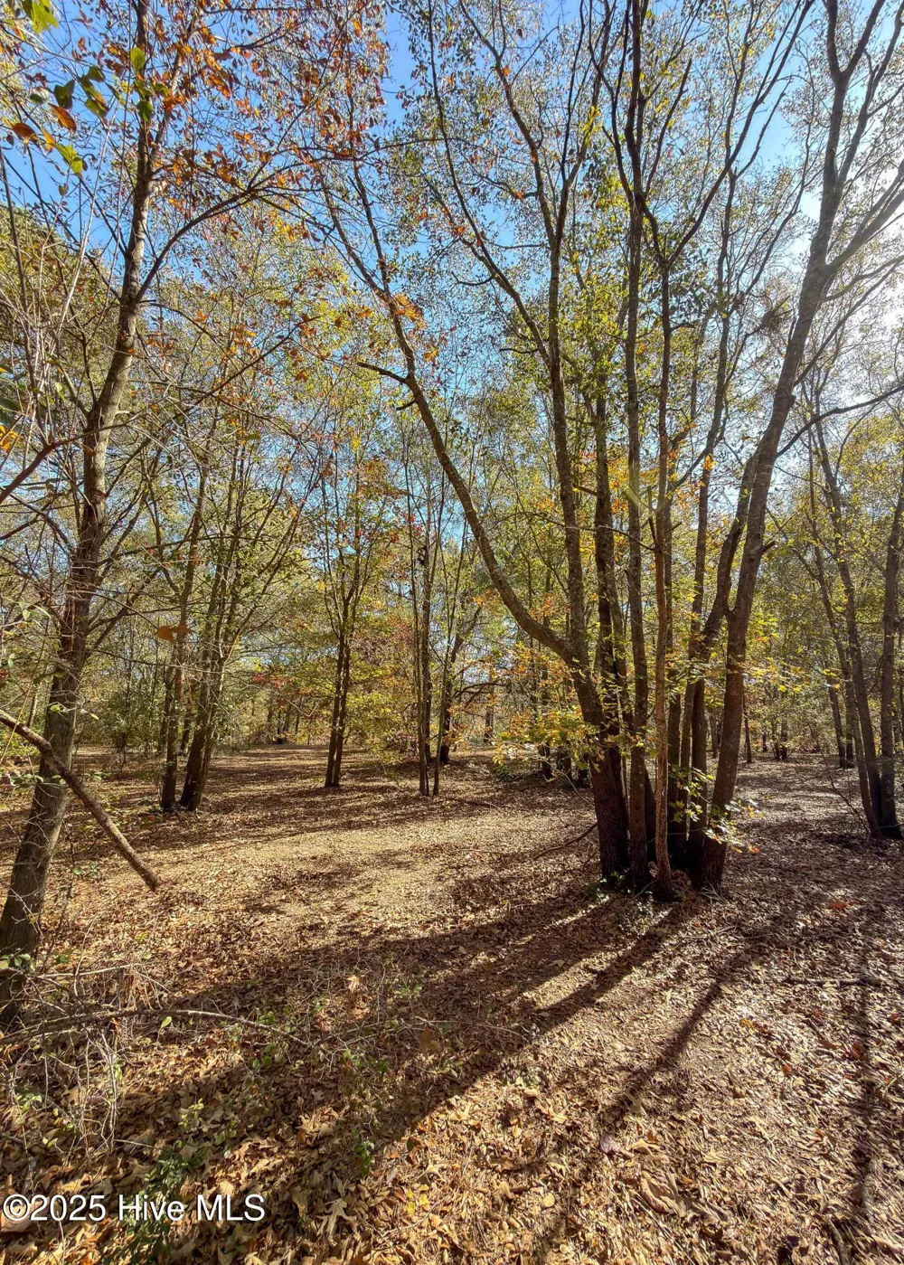 167 River Ridge Drive Wallace, NC 28466