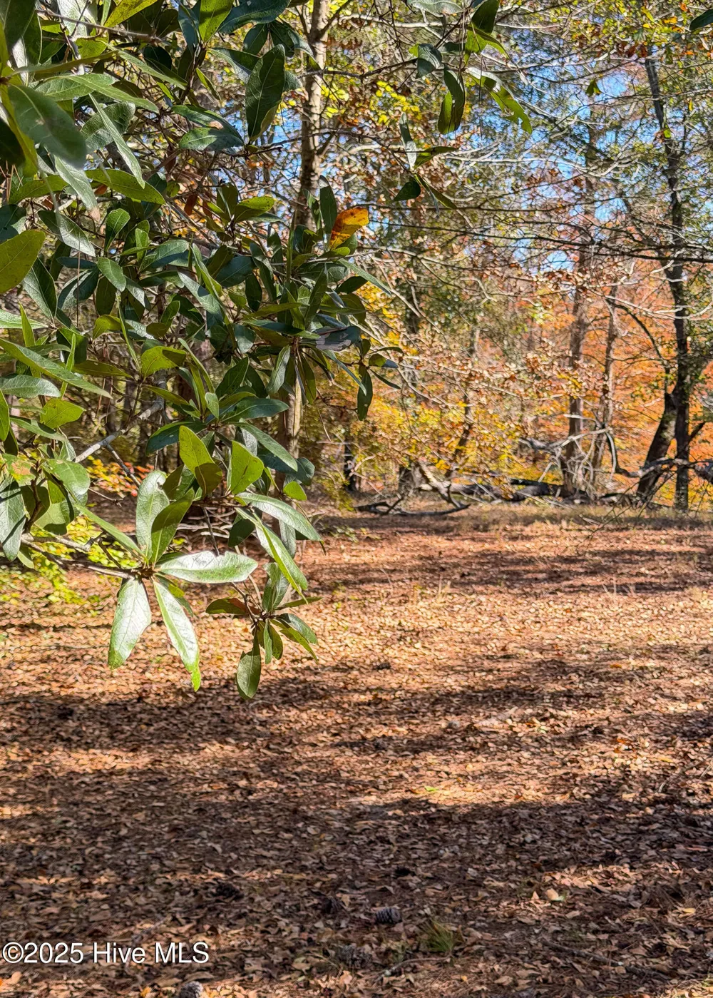 167 River Ridge Drive Wallace, NC 28466