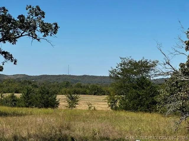 Miller Road Stringtown, OK 74569